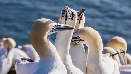 开云体育_ 努力与成就：那些奋斗在NBA的球员故事，nba开打