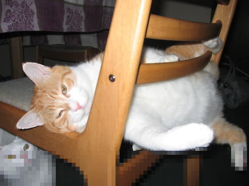 _名将重返赛场：辉煌岁月再续新篇章_，名将怎么玩