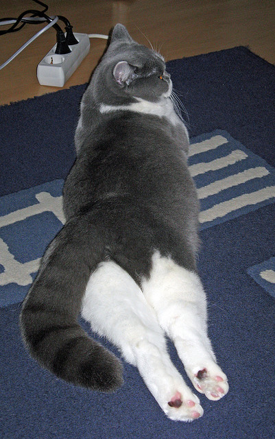 【马克·塞尔比】他如何用铁壁防守书写冠军传奇？，马克·塞尔比妻子