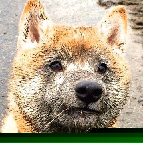 兴趣导向型篮球培训引入新科技,提升青少年参赛热情,篮球兴趣班视频