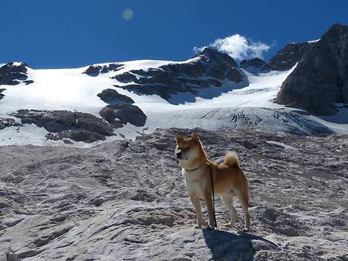 国脚归队备战，提升国家队竞争力，国足归化国脚