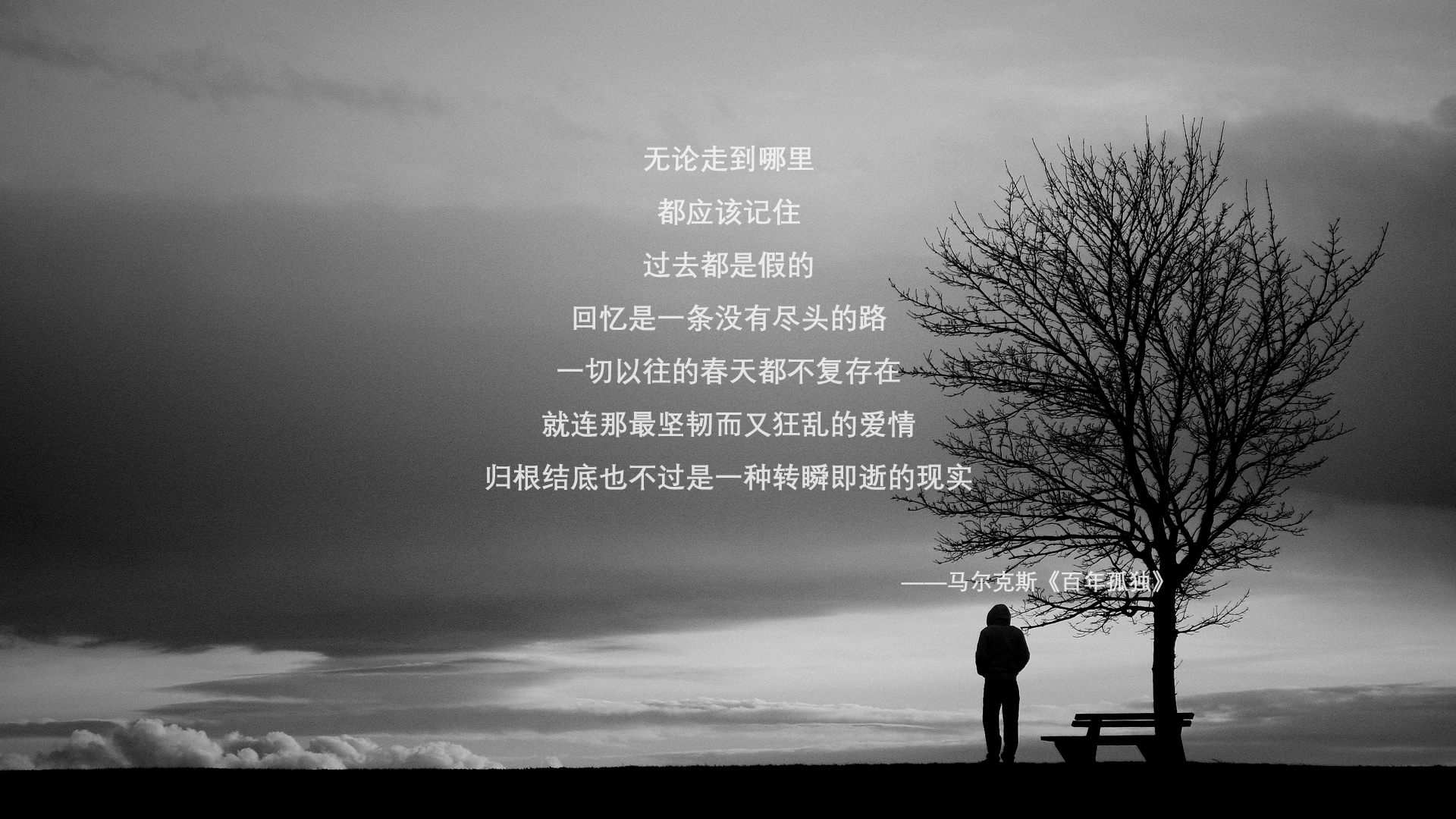 最先进的车身材料带来极速体验,较先进的车体材料