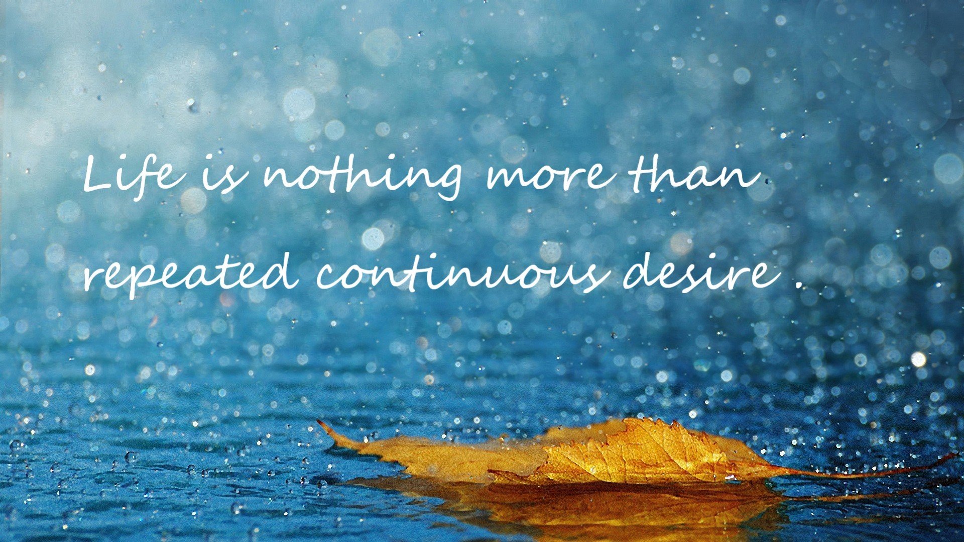 最具争议的欧冠比赛瞬间盘点,欧冠比赛强度