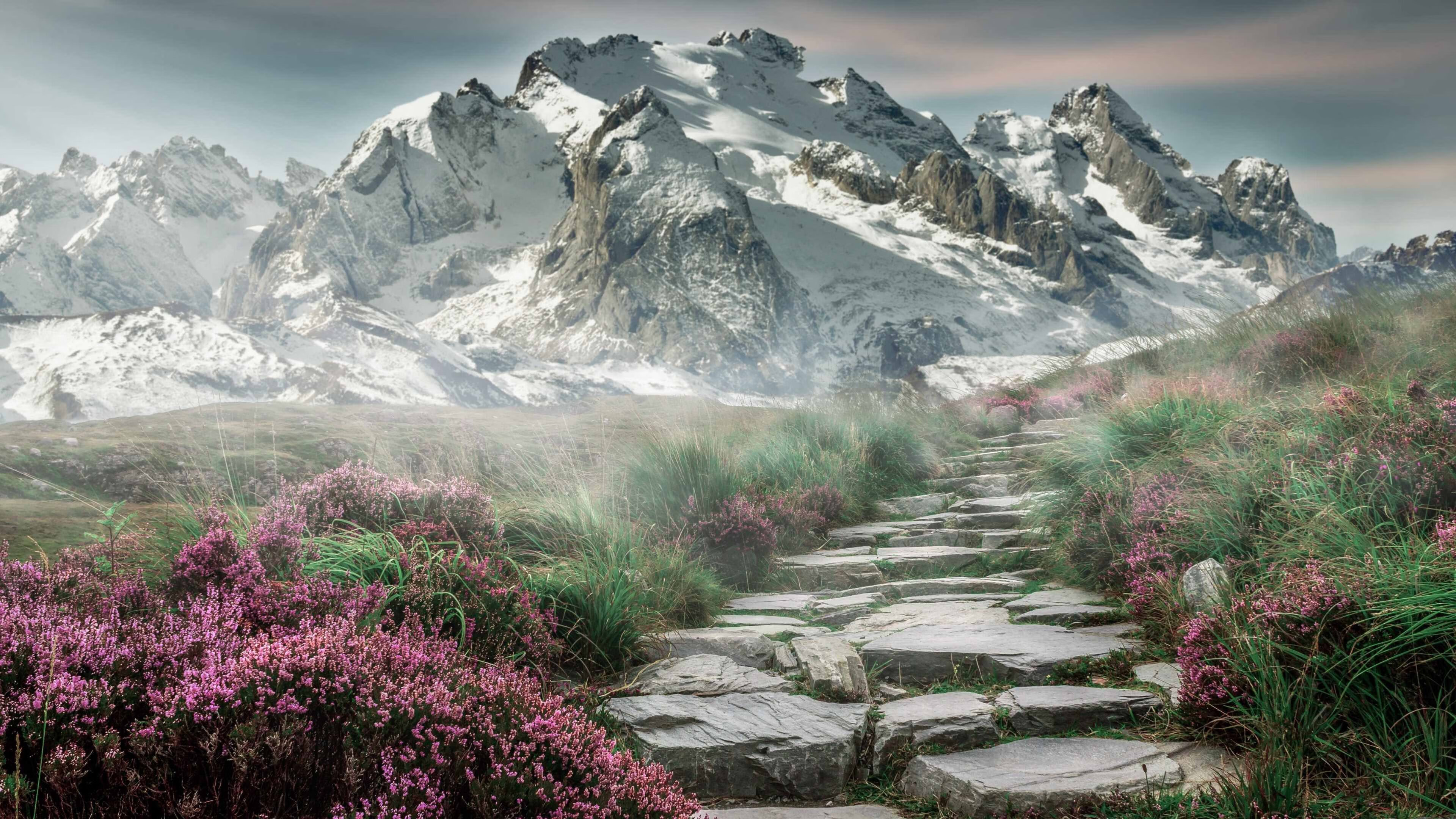 球场“铁血防线”：最难攻破的欧洲防守阵容，欧洲防卫者2021