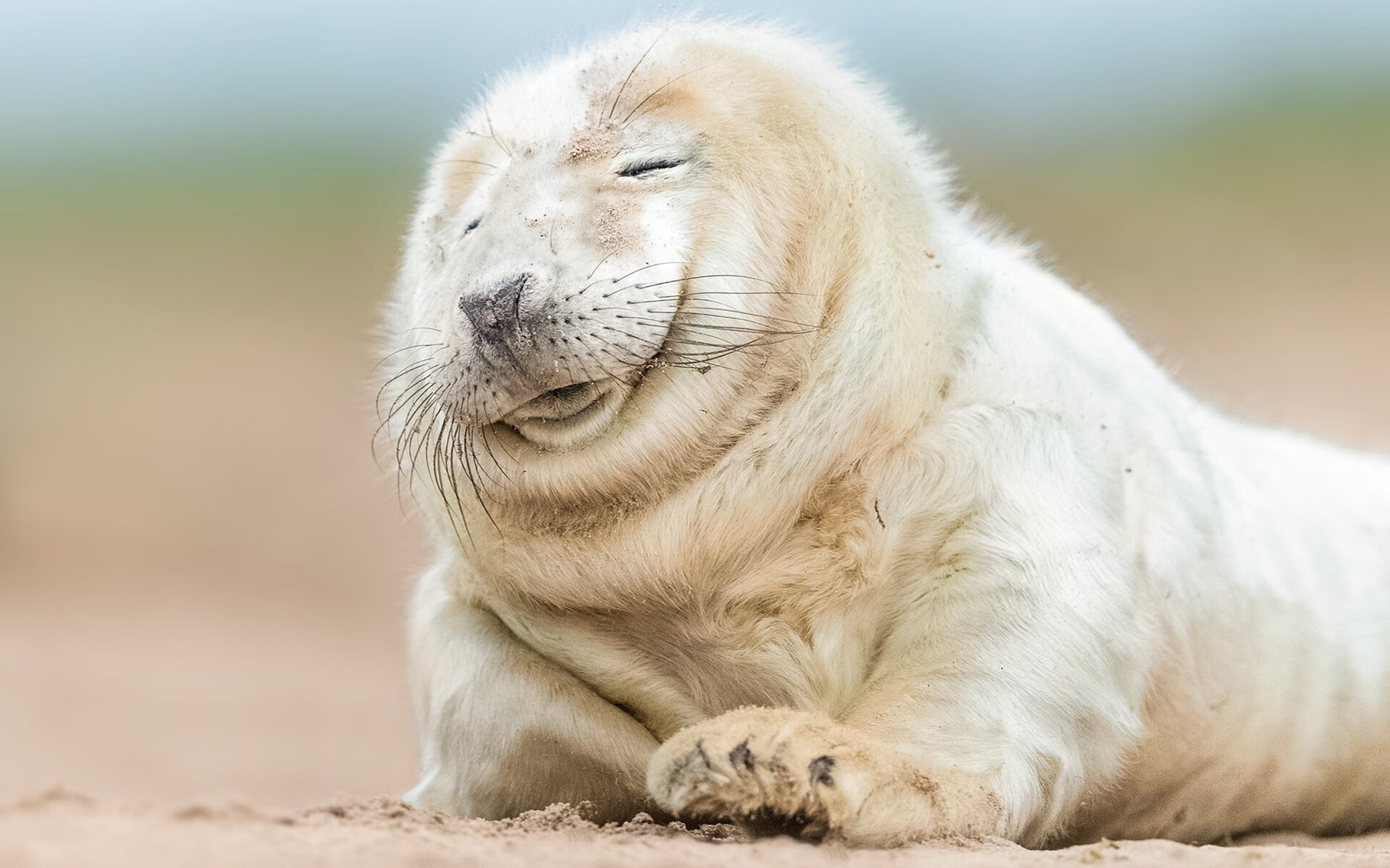 76人收购电竞战队表现亮眼，76人队官网