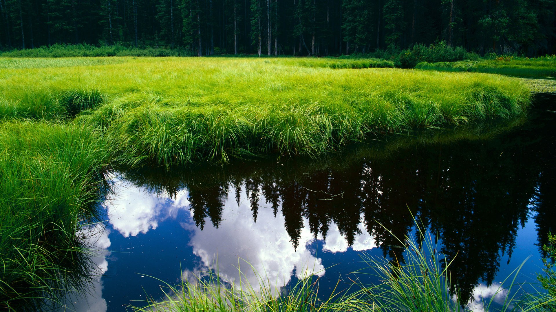 76人球迷呼吁球队进行结构性调整,提升竞争力,76人全队