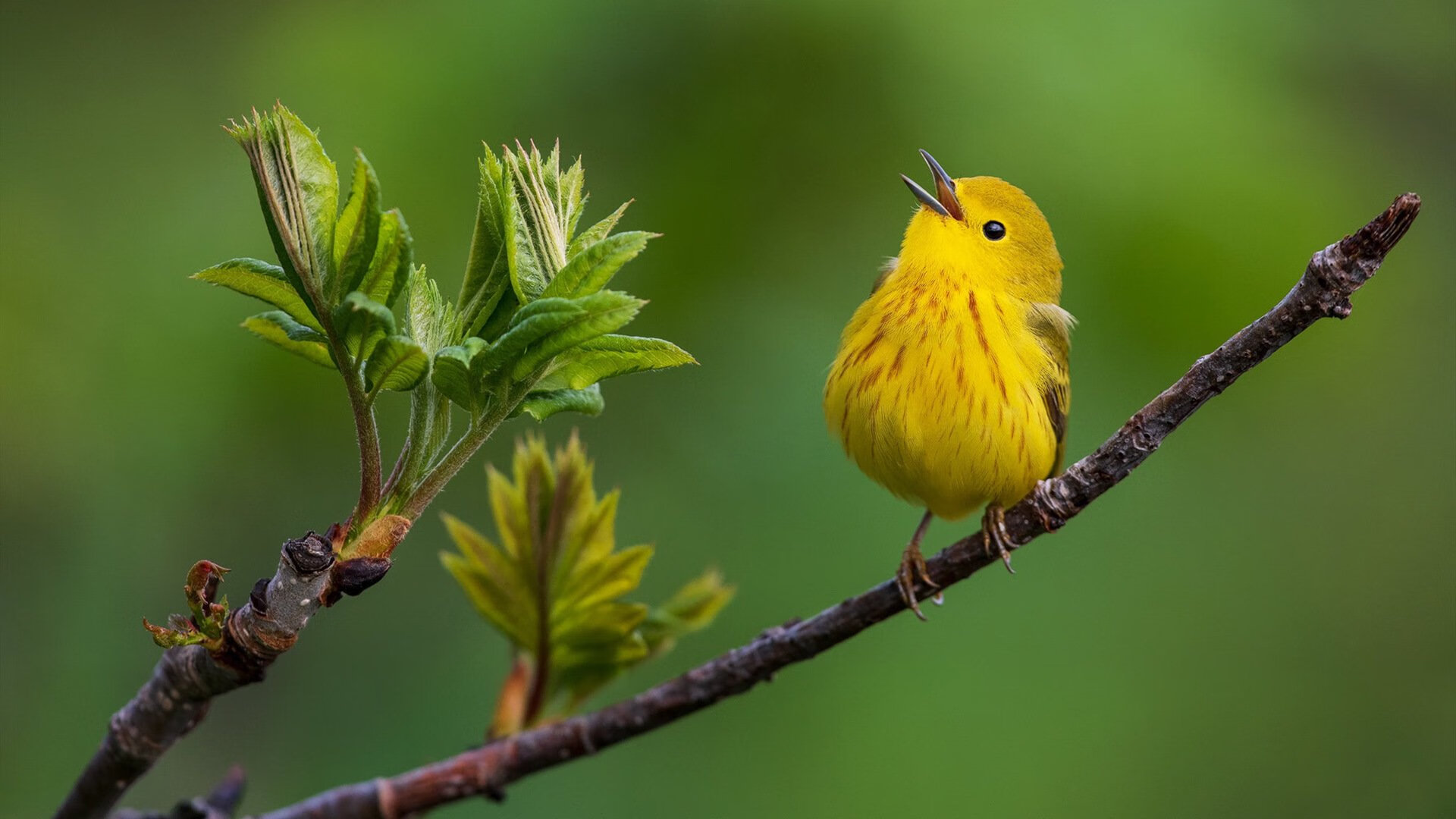 中国女足在比赛中展现出坚韧意志,中国女足拼搏精神