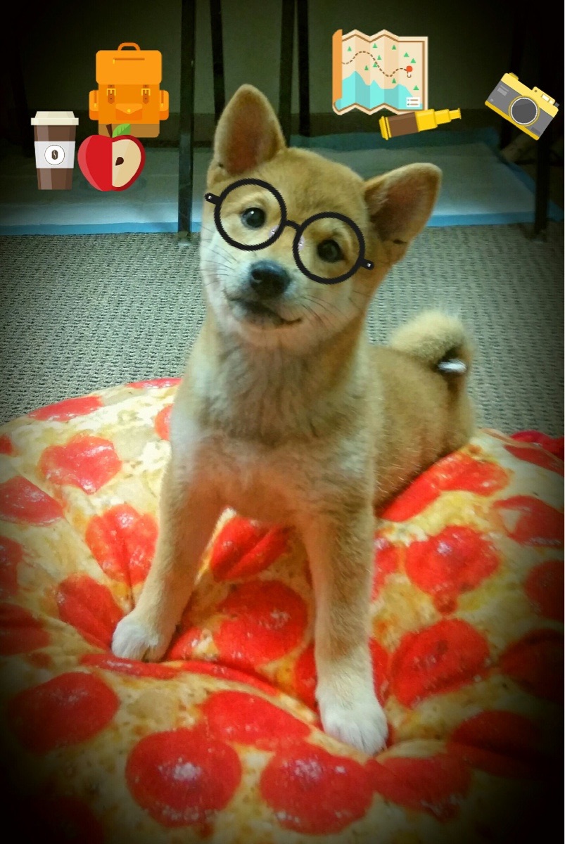 奥地利球员状态迷人，准备对抗捷克，奥地利队厉害吗