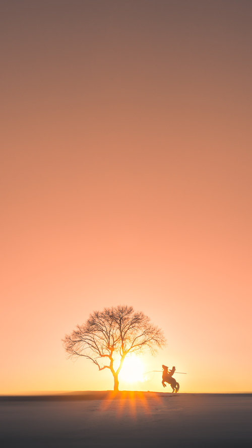 全国啦啦操锦标赛舞动青春风采，全国啦啦操联赛2020