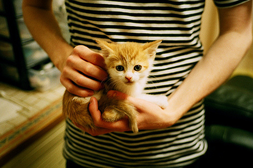 校园场馆智能调度,谈谈智能场馆如何实现信息化的