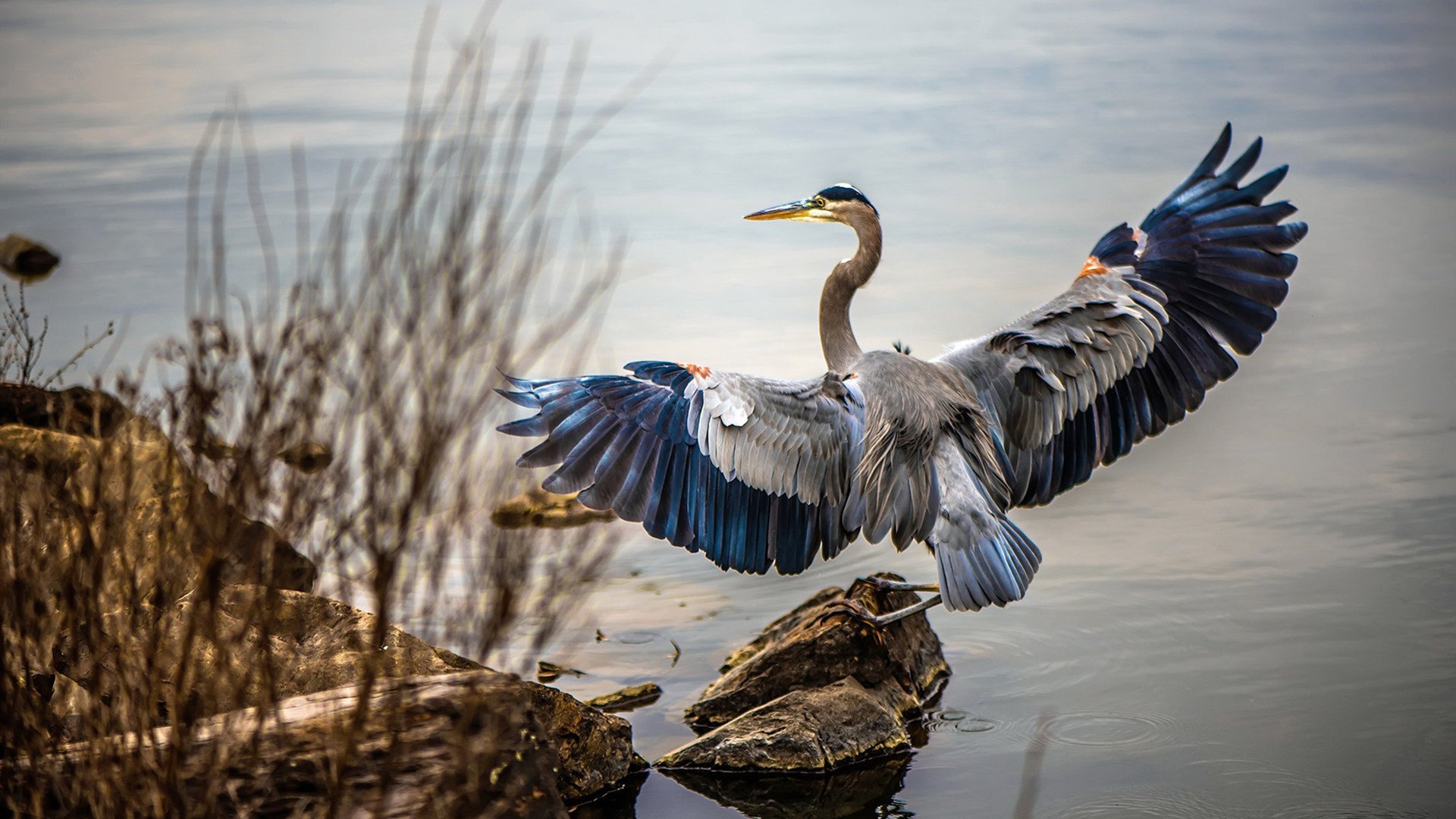 精彩绝伦：本赛季最震撼的七场比赛回顾，s7经典比赛