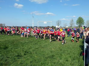 青少年体育活动参与动机分析与提升，青少年体育活动参与动机分析与提升研究