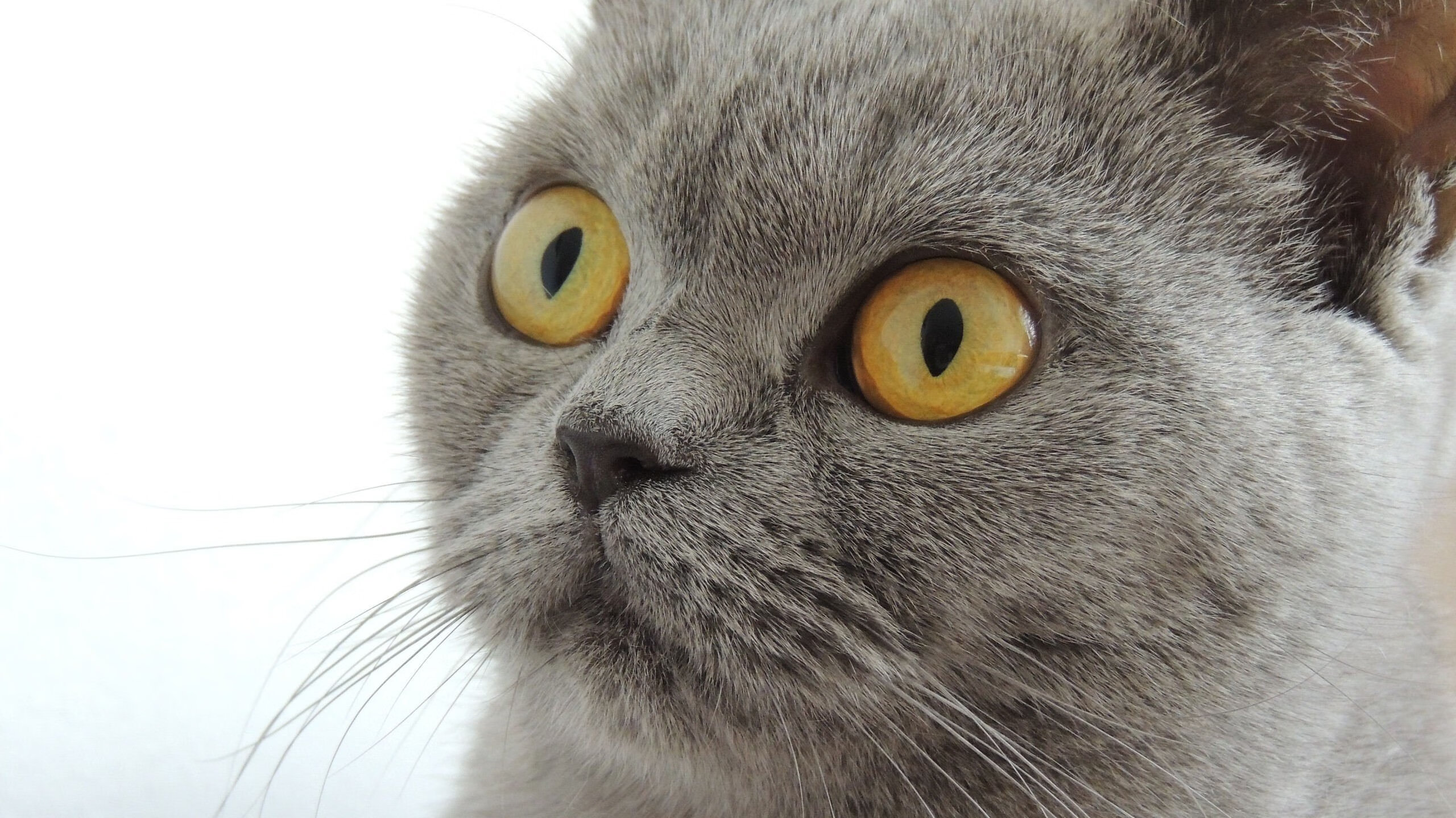 国家体育总局发布体育场馆绿色建筑评价细则征求意见稿，体育场馆标准化体系