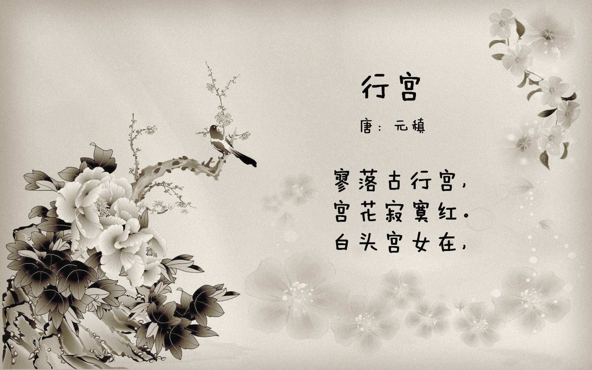 图穆亚的全面表现使袋鼠队在比赛中占得先机,稳步取胜